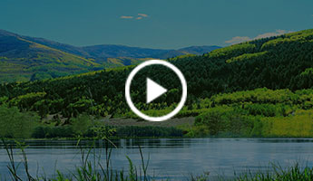 ballbet贝博BB娱乐狼堡